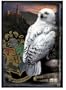 Harry Potter HBP Puzzle "Hogwarts and Hedwig"