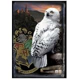 Harry Potter HBP Puzzle "Hogwarts and Hedwig"