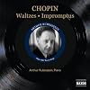 Chopin: Waltzes And Impromptus