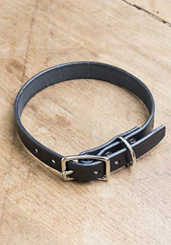THRUX LAWRENCE - Waterproof Horween Leather Dog Collar - Black with Stainless Steel - Large