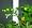 AeroGarden 970175-0000 Soft Tie for Garden Plant Support, 25-feet