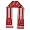 Wisconsin Badgers