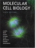 Molecular Cell Biology & eBook