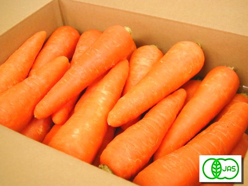 自然な甘みが美味しい♪鹿児島県産 有機栽培【人参】5kg（2S～M 洗い）