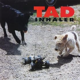 Inhaler