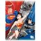Collect Everything DC Animated Since 1992