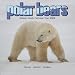 2009 Polar Bears Wall Calendar