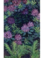 Home: Blanche Hoschede Monet-Rhododendrons, 1928 Oil Painting, 18x28 Inch / 46x71 Cm ,printed On Polyster Canvas ,this Imitations Art DecorativeCanvas Prints Is Perfectly Suitalbe For Laundry Room Gallery Art And Home Artwork And Gifts - ChrisBroadhurst