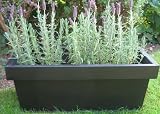 Review   / Black Zinc Trough/Window Box 62.5cm