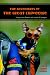 Adventures of the Great Chiweenie: Biking Across America with a Pack of Teenagers