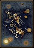 HOME DYNAMIX:Royalty 43x62 (Navy)