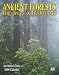 Book Ancient Forests 2008 Calendar: Big Trees & Redwoods