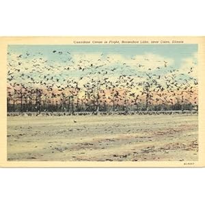 SAYINGS POSTCARDS - OLD VINTAGE ANTIQUE POSTCARD POSTCARDS