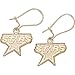 Logoart Dallas Stars 10K Gold Earrings title=