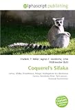 Coquerels Sifaka: Lemur, Sifaka, Propithecus, Pelage, Madagascar dry deciduous forests, Betsiboka River, Wet season, Arboreal locomotion