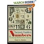 Benjamin Franklin's Numbers: An Unsung Mathematical Odyssey