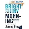 Bright Shiny Morning