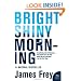 Bright Shiny Morning