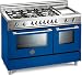Bertazzoni : Professional X486GGGVBL 48