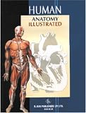 Human Anatomy Illustrated