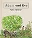 Adam and Eve (People of the Bible)