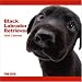   - Black Labrador Retriever 2009 Wall 12''x12'' Calendar by THE DOG Artlist Collection