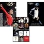 (24x36) Lot of 3 Michael Jackson Posters - Commemorative Collector's Set