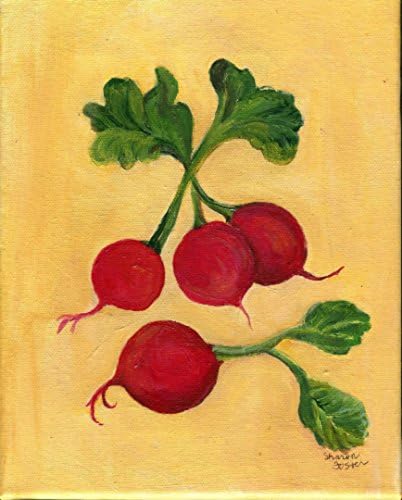 Radishes painting, Original Food ART 8 x 10, acrylic on canvas, kitchen art, acrylic painting