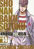 湘南爆走族 完全版(14) (KCデラックス)