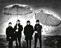 THE BEATLES SIGNED PHOTO PRINT - JOHN LENNON PAUL MCCARTNEY RINGO STAR GEORGE HARRISON - 10x8 A4 GLOSSY POSTER AUTOGRAPH
