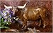 Old West Texas Longhorn Steer Figure