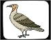 Mouse Pad with falcon, gold, eagle, hawk, bird Image