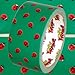 Ladybug Picnic Craft Duct Tape 1.88