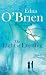 The Light of Evening (Paperback)