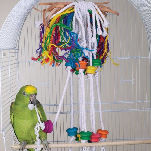 BERSERK - Brainy Bird Wild Series Toys