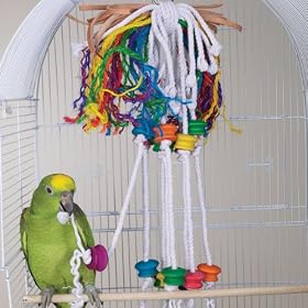 BERSERK - Brainy Bird Wild Series Toys