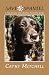 Save a Spaniel