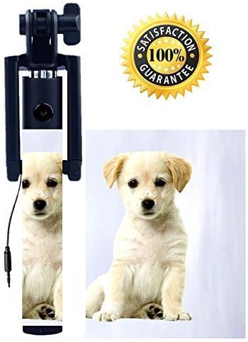 Mini Selfie Stick, White Labrador Puppy, Black bracket, Ryloon (Tm), Wired version with adjustable folding bracket for Iphone 6, 6 plus, Iphone 5s, 5, 4, 4s, Samsung Galaxy s6,s5, Androids