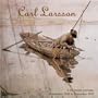 Carl Larsson 2010 Wall Calendar