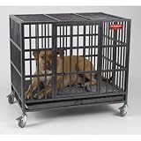 Proselect Empire Cage Lrg S