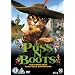 Puss N Boots [Not Dreamworks] [DVD]