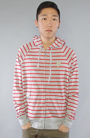 LRG Core Collection The Core Collection Striped Zip Up Hoody in Ash Heather,Sweatshirts for Men, Medium,Ash