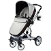 Peg-Perego 2011 Skate Stroller System, Java