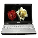 Toshiba Satellite X205-SLI1 17 Notebook PC (Intel Core 2 Duo Processor T7250, 2 GB RAM, Dual 120 GB Hard Drives, Vista Premium)