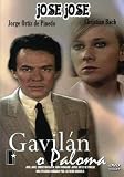 Gavilan O Paloma