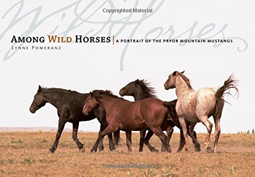 among wild horses a portrait of the pryor mountain mustangs