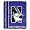 Northwestern Wildcats