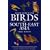 A Field Guide to the Birds of South-East Asia