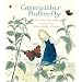Caterpillar Butterfly (Nature Storybooks)