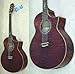 IBANEZ EW30QME/TBC GARM^[